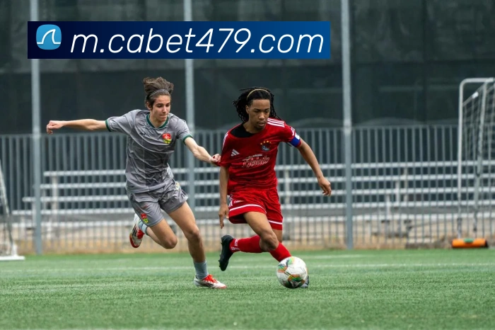 对战数据统计